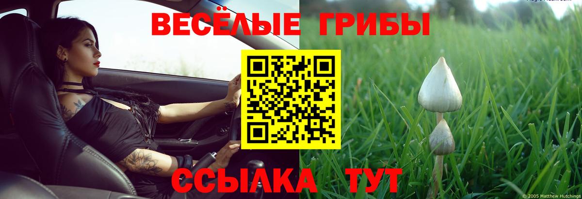 Галлюциногенные грибы мицелий  Галлюциногенные грибы MAGIC MUSHROOMS  Верхняя Салда  Вход с VPN 